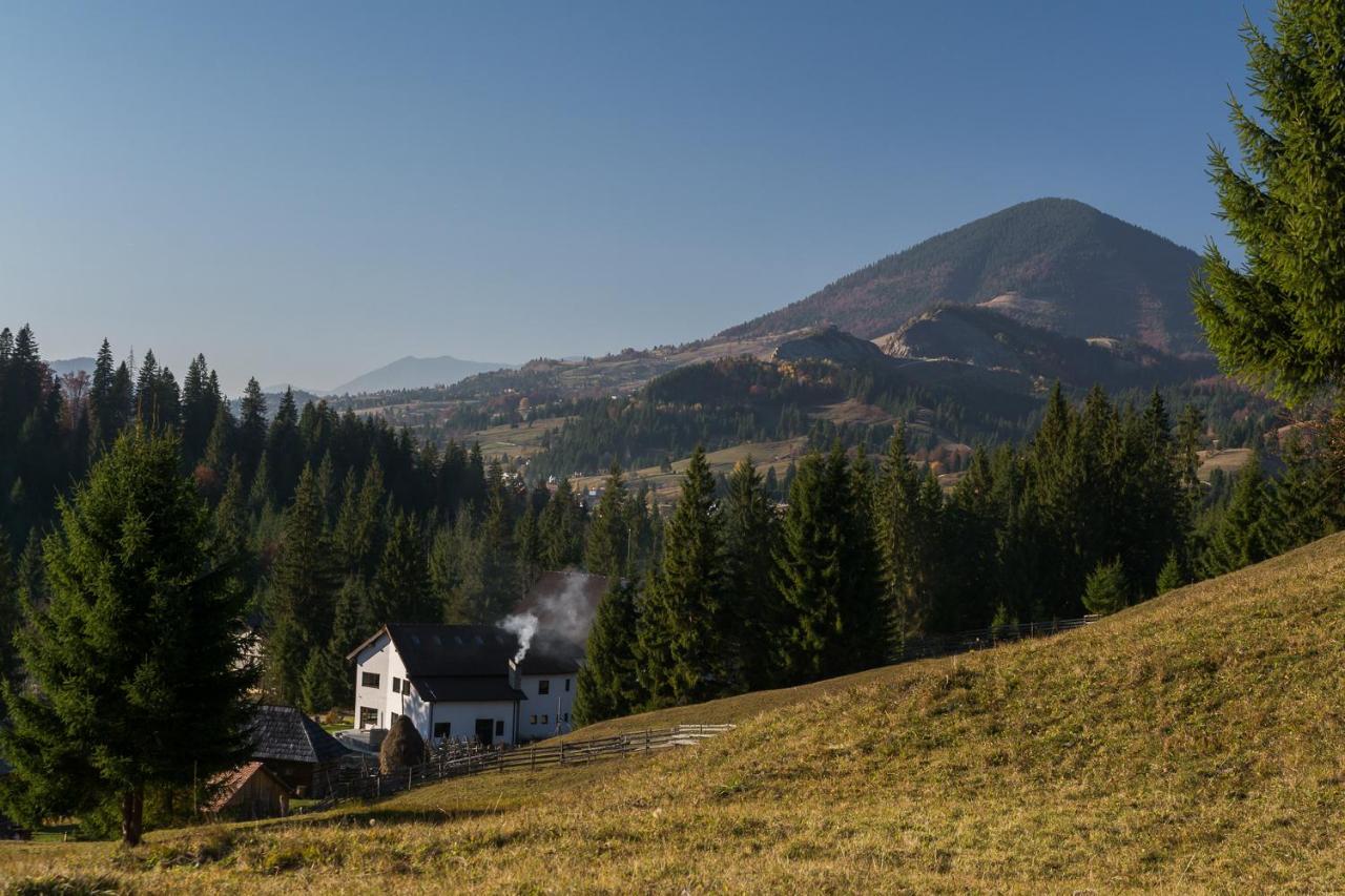 Pensiunea Izvorul Zanelor Colibita Bagian luar foto