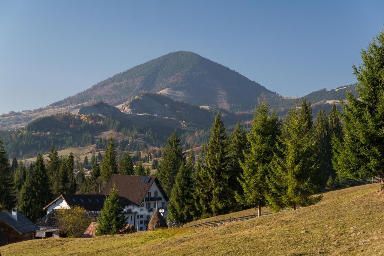 Pensiunea Izvorul Zanelor Colibita Bagian luar foto